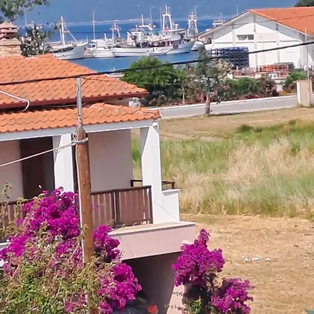 P.a.g * 依诺罗达