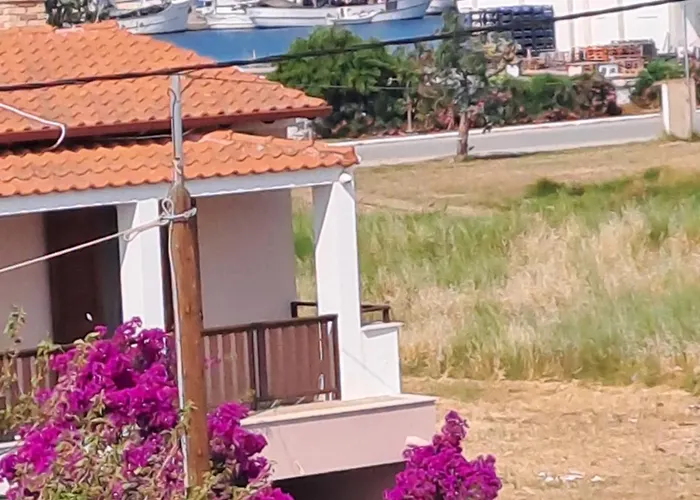 P.a.g * 依诺罗达